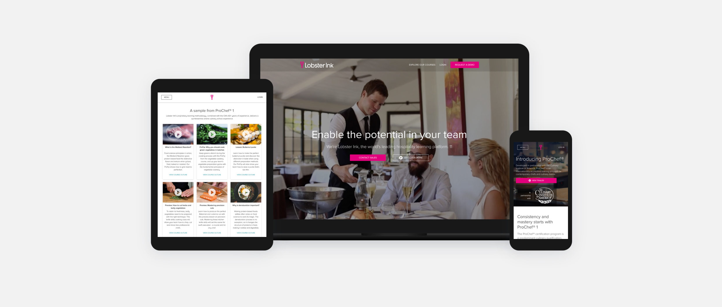 Mockup if an educational hospitality platform