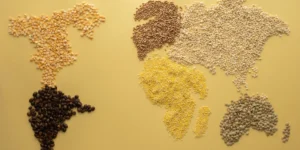 grains and cereals displayed as a world map