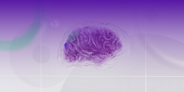 3D asset of a brain