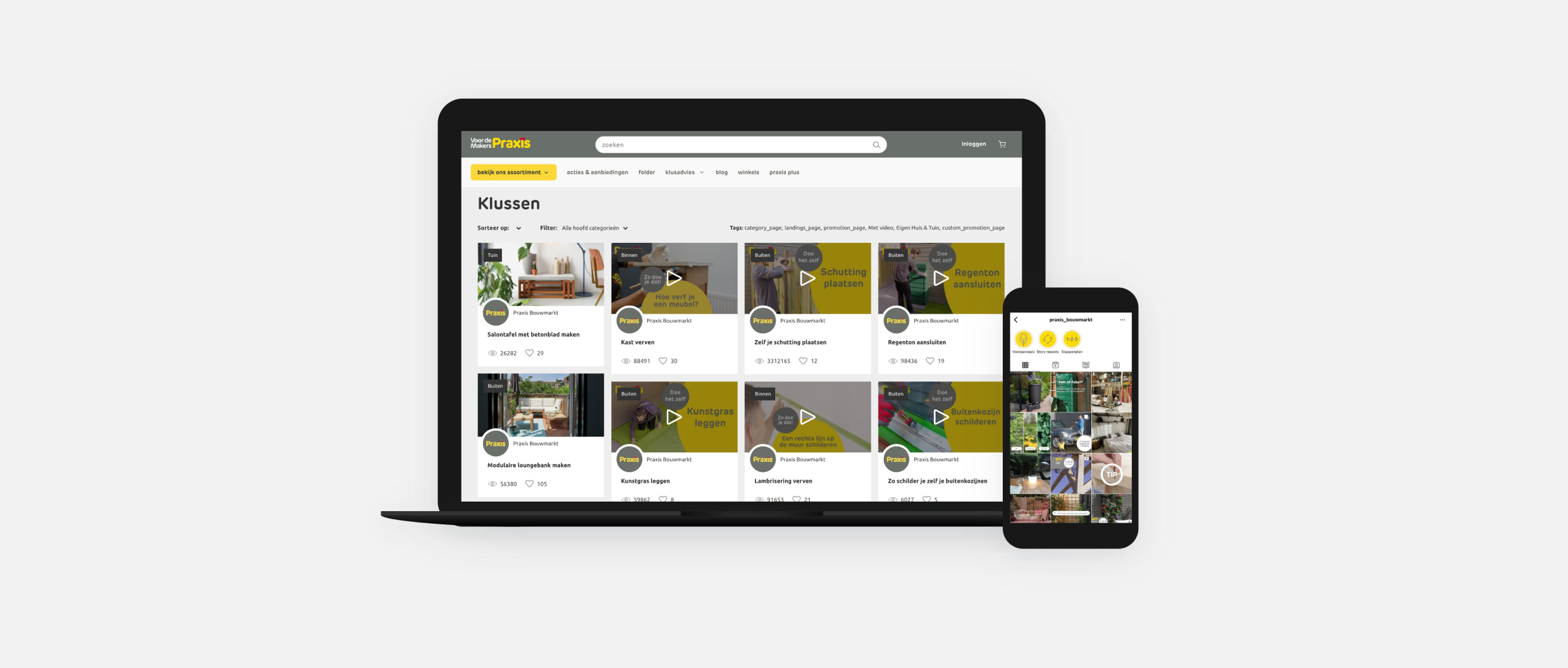 Mockup of Praxis' website