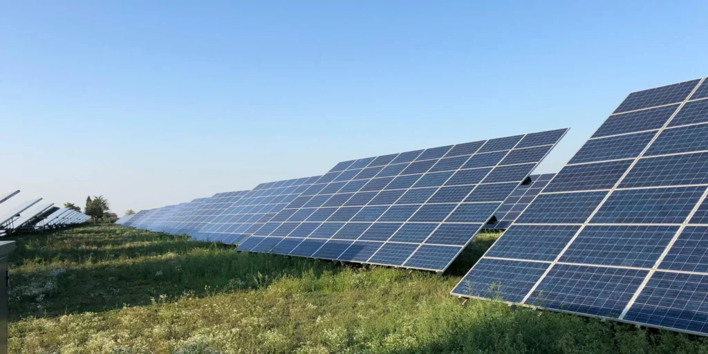 Photo of row of solar panels