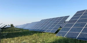 Photo of row of solar panels