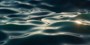 sea surface close-up